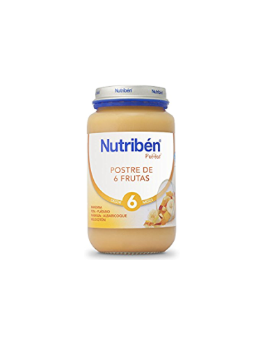 NUTRIBEN POSTRE DE 6 FRUTAS POTITO JUNIOR 200 G