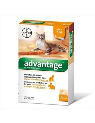 ADVANTAGE GATOS  4KG 4 PIPET