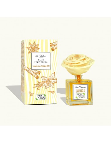 AMBIENTADOR NATUR BOTANIC VAINILLA CANELA 90ML