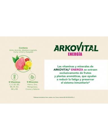 ARKOVITAL PURA ENERGIA MULTIVITAMINICO 30...
