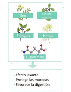 FARLINE TRANSITO INTESTINAL 60 CAPSULAS 2