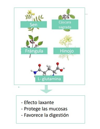 FARLINE TRANSITO INTESTINAL 60 CAPSULAS