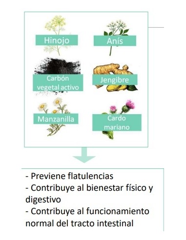 FARLINE GASES 60 CAPSULAS