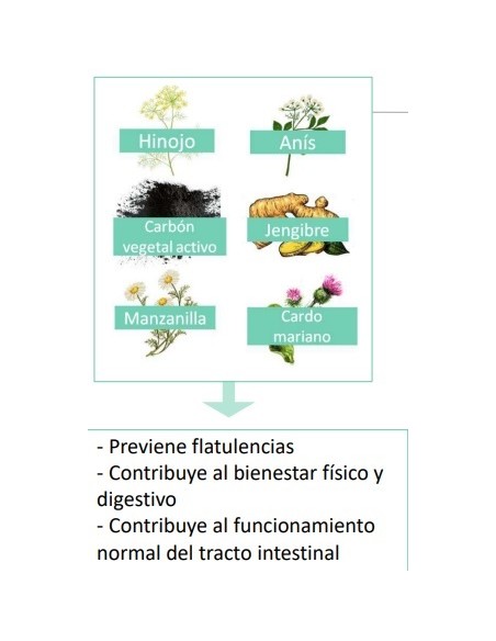 FARLINE GASES 60 CAPSULAS