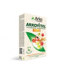 ARKOVITAL BOOST 24 COMPRIMIDOS MASTICABLES
