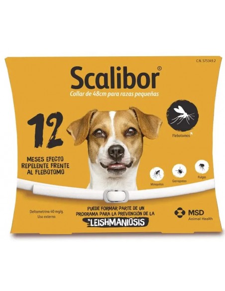 SCALIBOR 48 CM 12 MESES