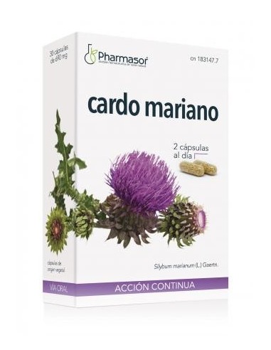 CARDO MARIANO  ACCION CONTINUA SORIA NATURAL...