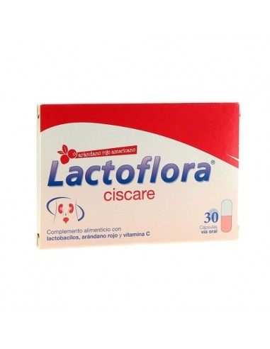 LACTOFLORA CISCARE 30 CÁPSULAS