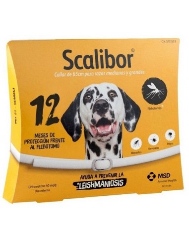 SCALIBOR 65 CM 12 MESES