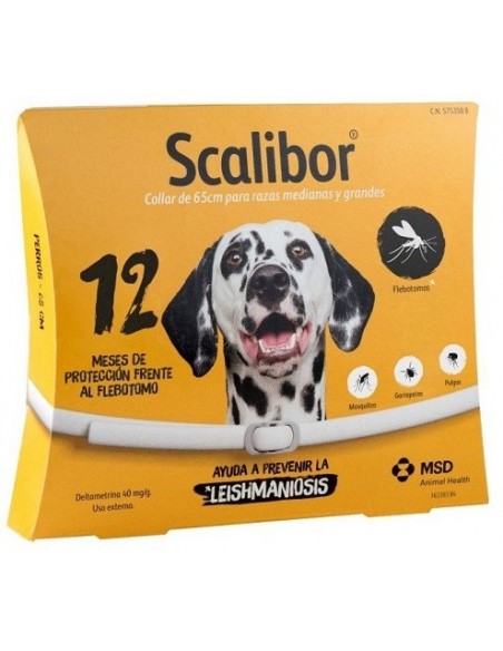 SCALIBOR 65 CM 12 MESES