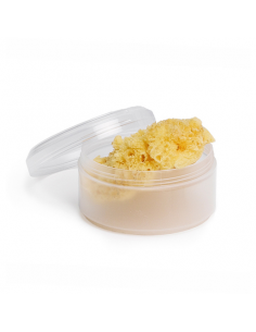 ESPONJA NATURAL MEDIANA 1 UD SUAVINEX