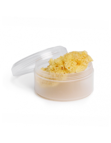ESPONJA NATURAL MEDIANA 1 UD SUAVINEX