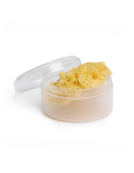ESPONJA NATURAL MEDIANA 1 UD SUAVINEX